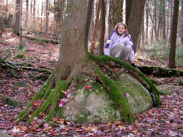 Imgp0080