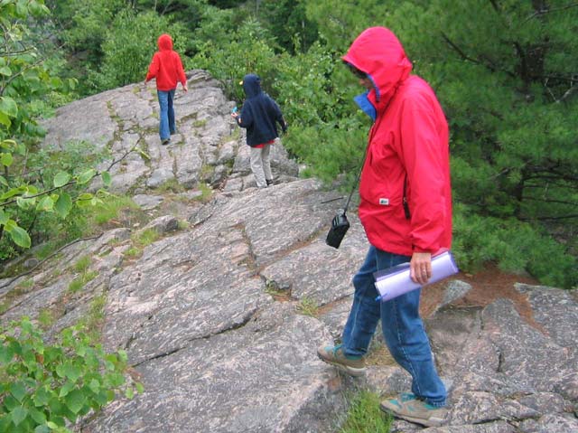 IMG 7160
